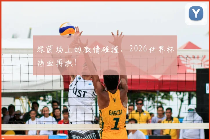 绿茵场上的激情碰撞，2026世界杯热血再燃！