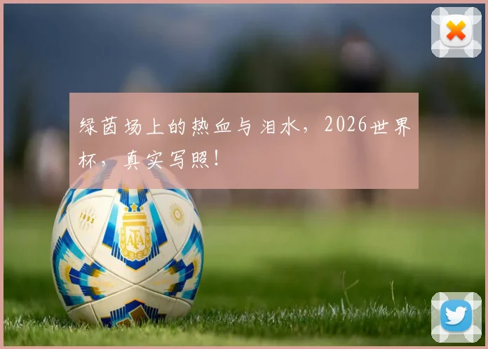 绿茵场上的热血与泪水，2026世界杯，真实写照！
