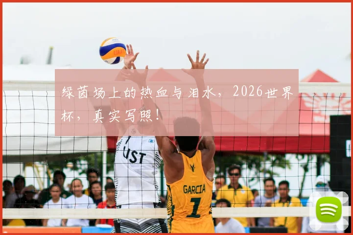 绿茵场上的热血与泪水，2026世界杯，真实写照！
